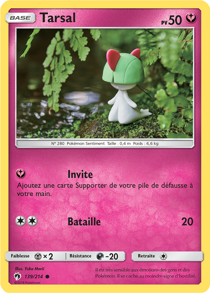 Tarsal - SL Tonnerre Perdu - 139 - Commune