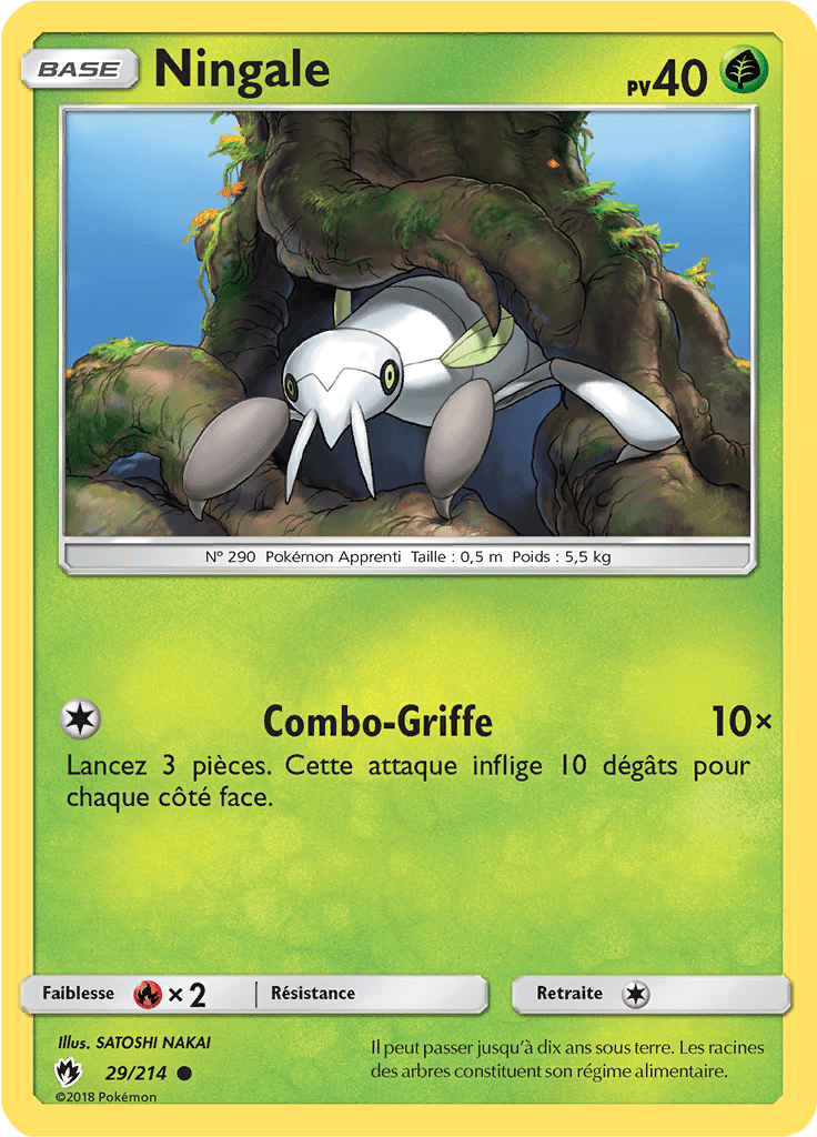 Ningale - SL Tonnerre Perdu - 029 - Commune
