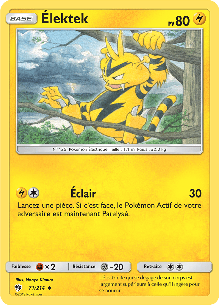 Élektek - SL Tonnerre Perdu - 071 - Peu commune