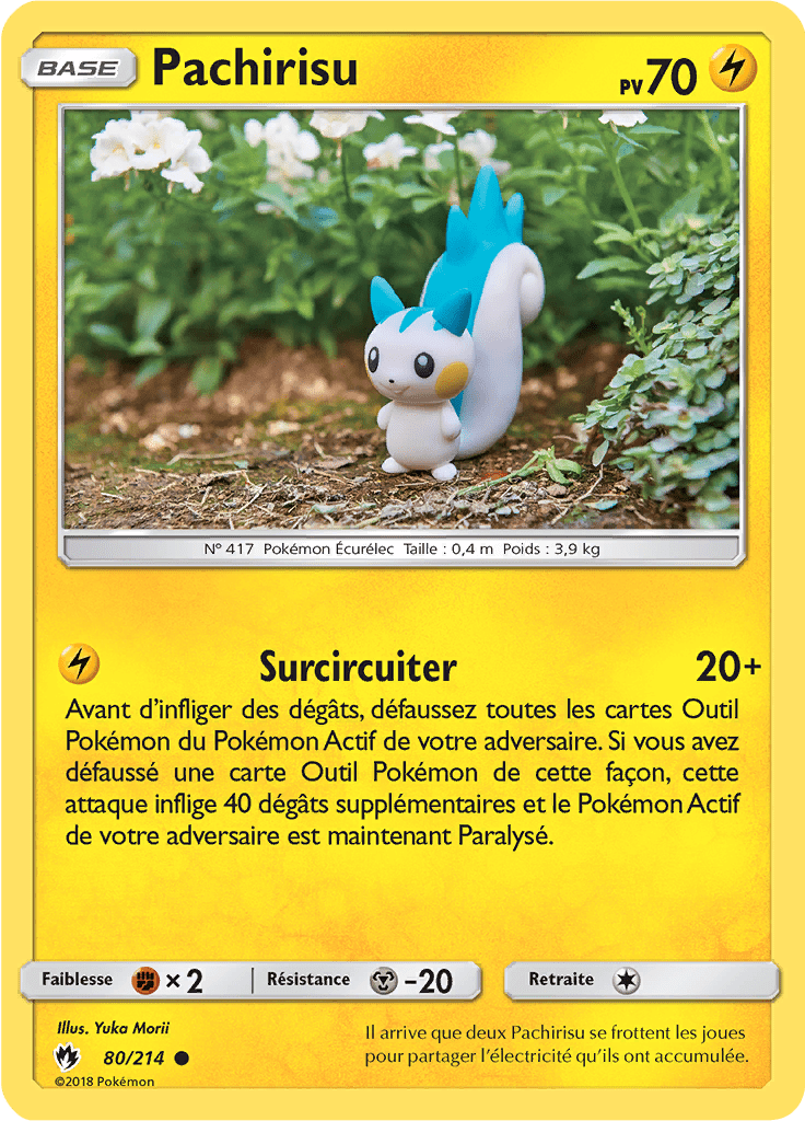 Pachirisu - SL Tonnerre Perdu - 080 - Commune