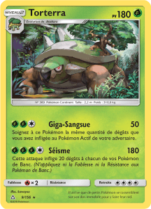 Torterra - SL Ultra-Prisme - 009 - Holographique rare