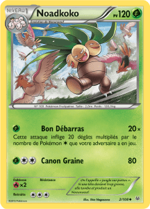 Noadkoko - XY Ciel Rugissant - 002 - Peu commune