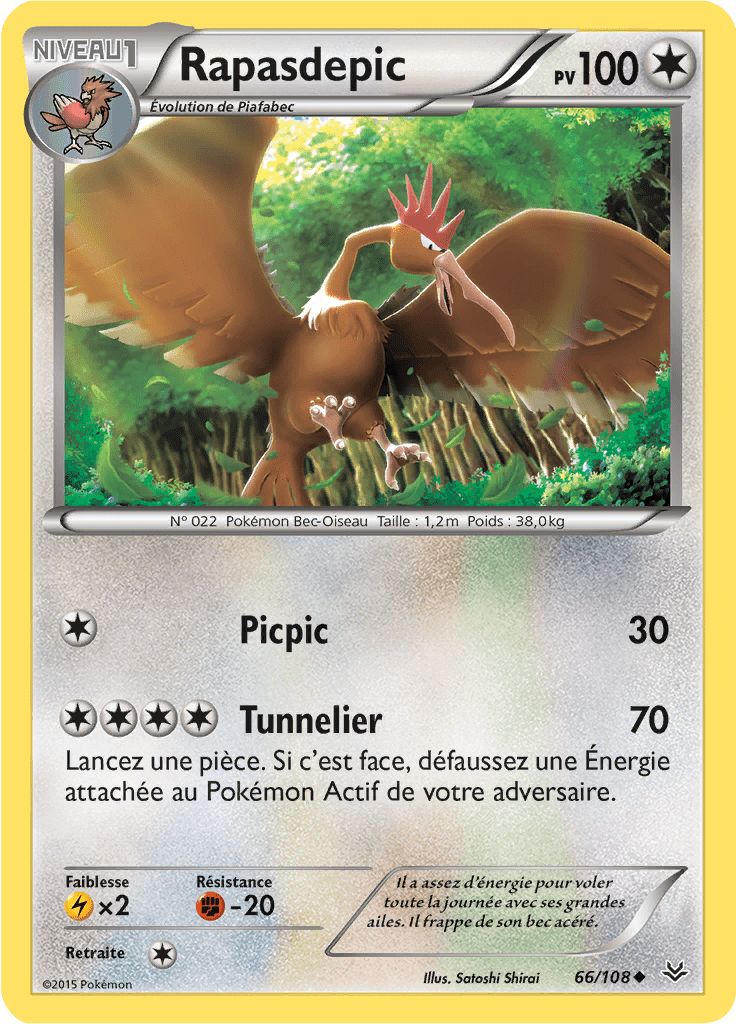 Rapasdepic - XY Ciel Rugissant - 066 - Peu commune