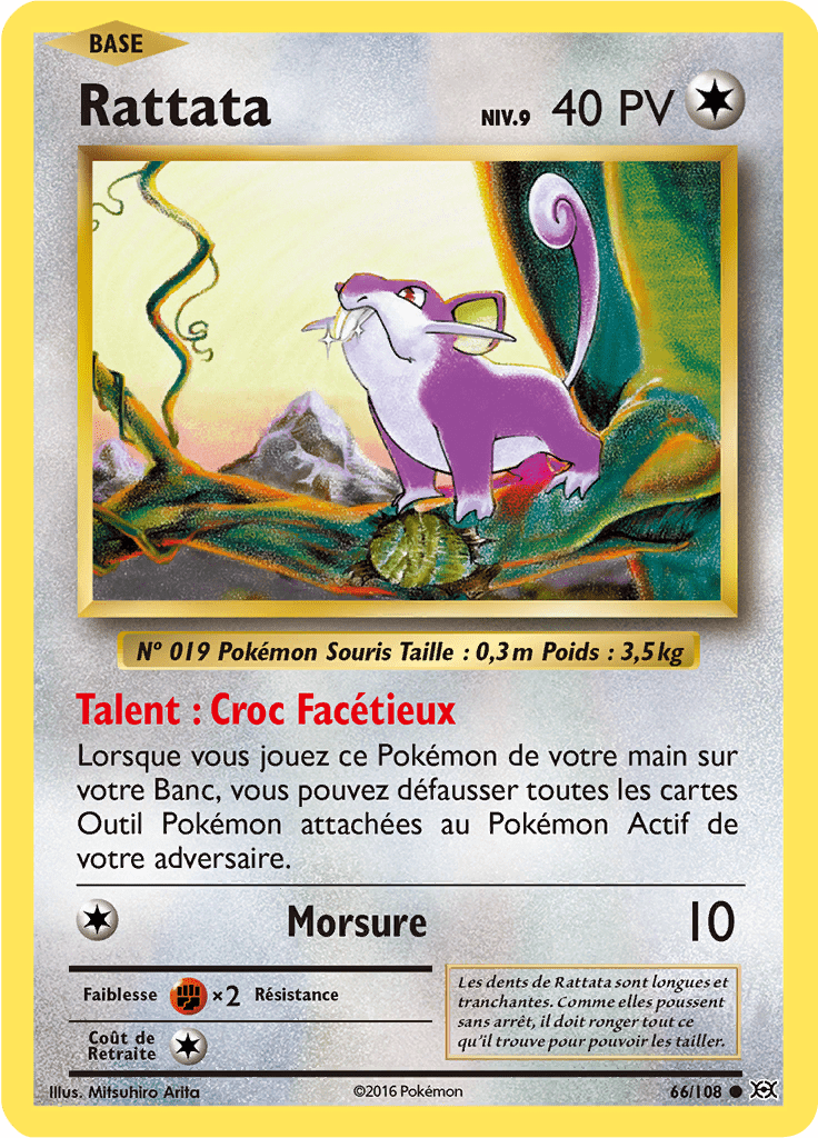 Rattata - XY Évolutions - 066 - Commune