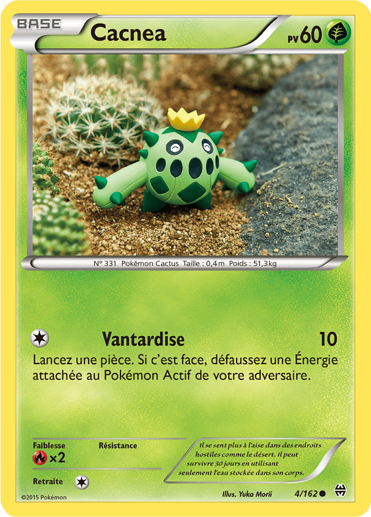 Cacnea - XY Impulsion TURBO - 004 - Commune