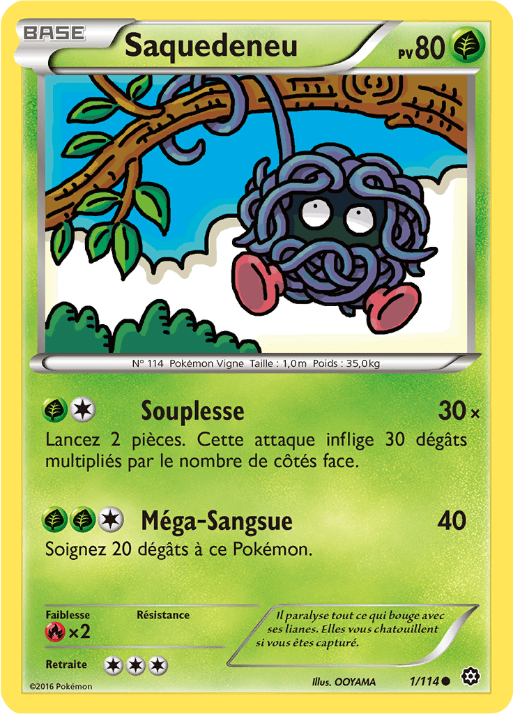 Saquedeneu - XY Offensive Vapeur - 001 - Commune