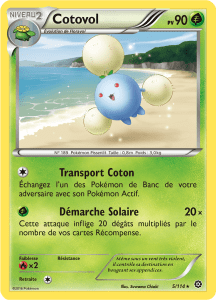 Cotovol - XY Offensive Vapeur - 005 - Rare