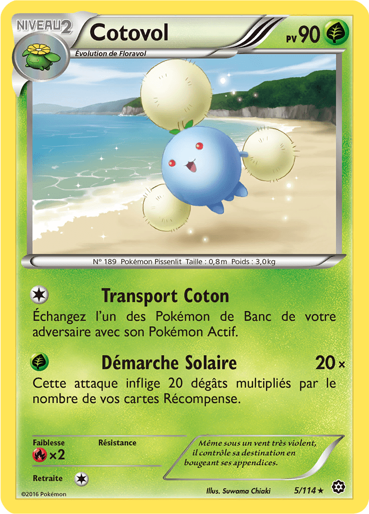 Cotovol - XY Offensive Vapeur - 005 - Rare