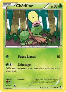 Chétiflor - XY Poings Furieux - 001 - Commune