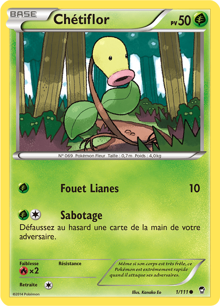 Chétiflor - XY Poings Furieux - 001 - Commune