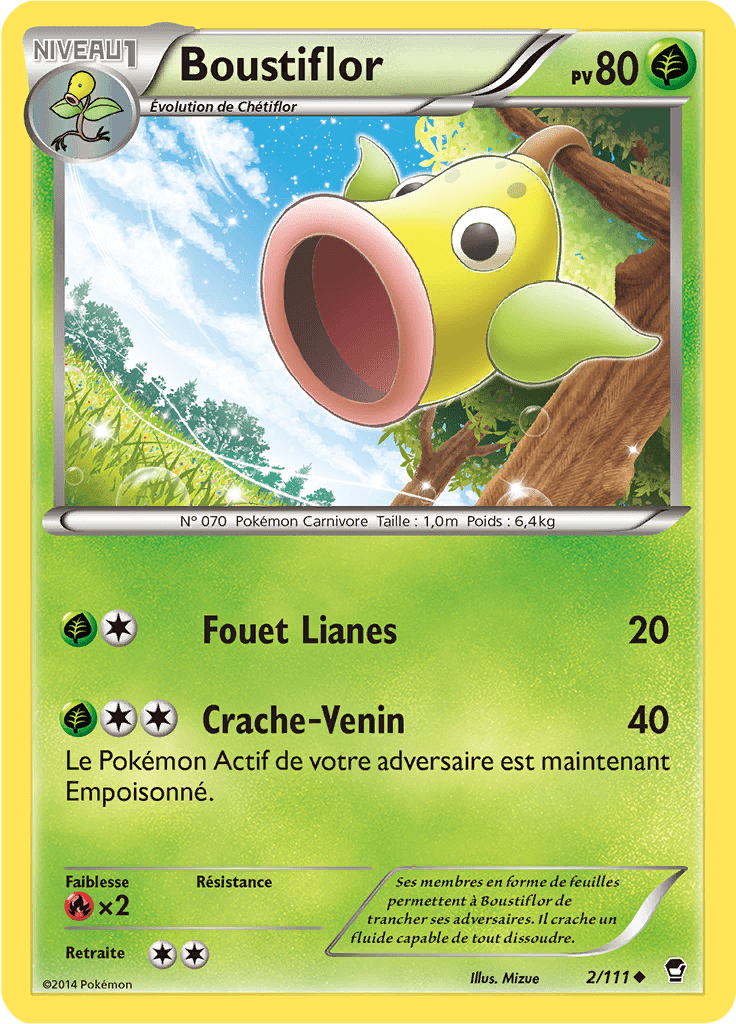 Boustiflor - XY Poings Furieux - 002 - Peu commune