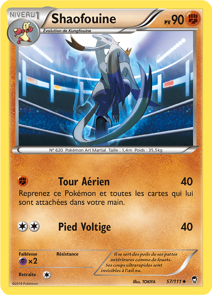 Shaofouine - XY Poings Furieux - 057 - Peu commune