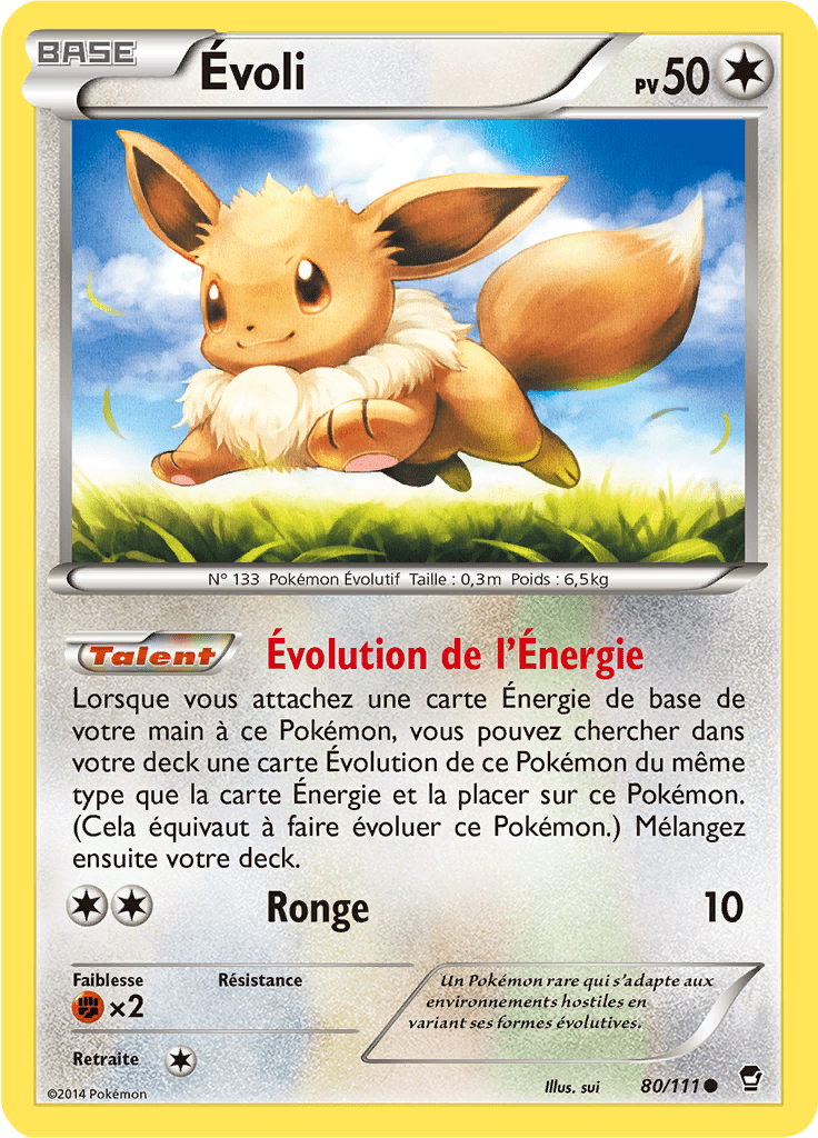 Évoli - XY Poings Furieux - 080 - Commune