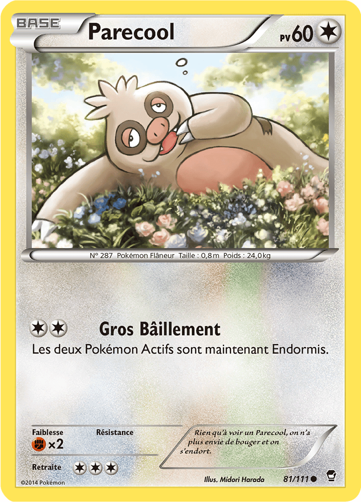 Parecool - XY Poings Furieux - 081 - Commune