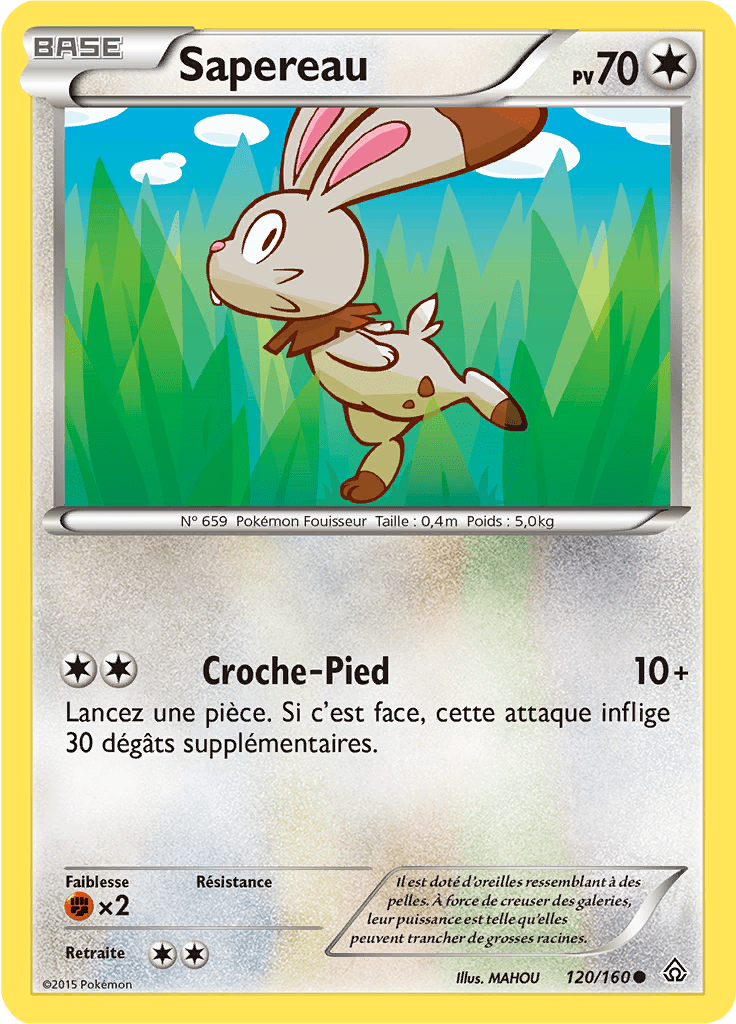 Sapereau - XY Primo-Choc - 120 - Commune