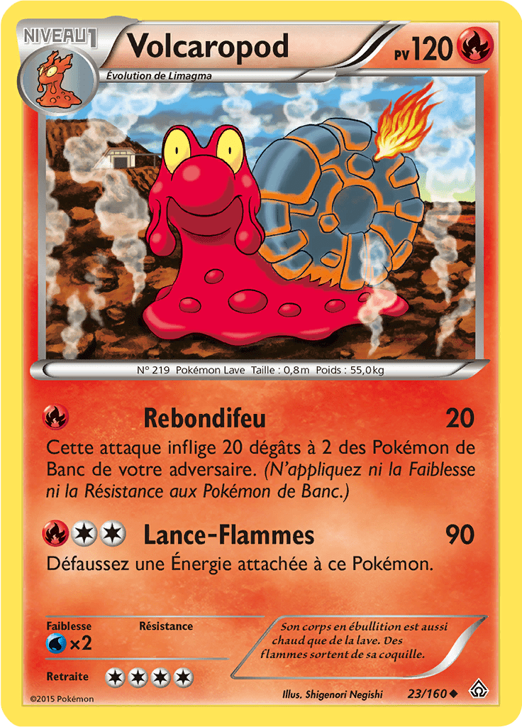 Volcaropod - XY Primo-Choc - 023 - Peu commune