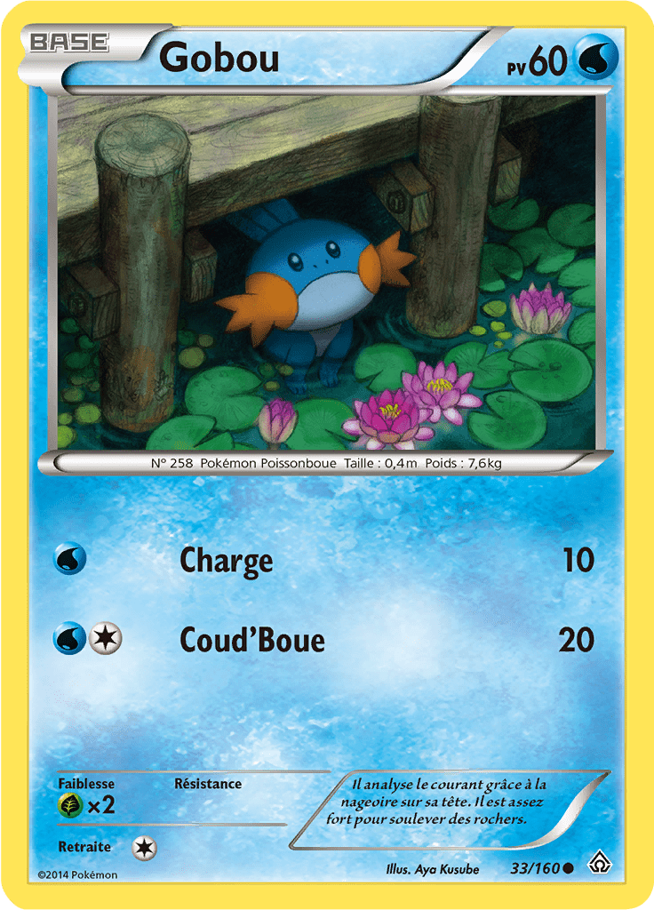 Gobou - XY Primo-Choc - 033 - Commune