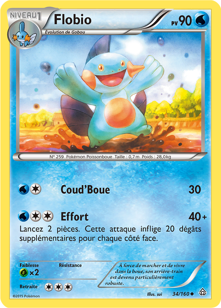Flobio - XY Primo-Choc - 034 - Peu commune
