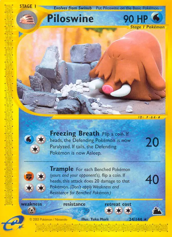 Piloswine - Skyridge - 024 - Rare