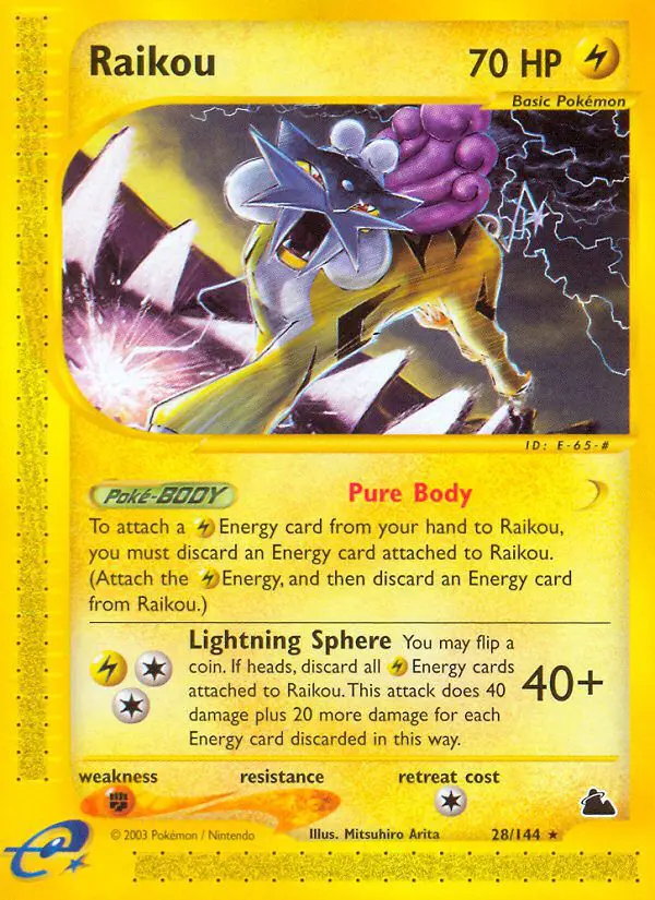 Raikou - Skyridge - 028 - Rare
