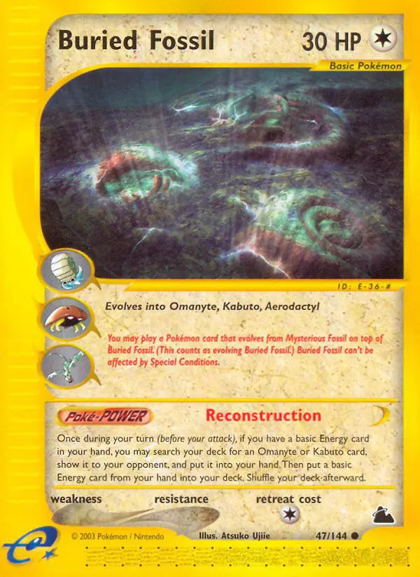 Buried Fossil - Skyridge - 047 - Commune