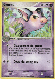 Carte Pokémon Groret 30/106 - EX Émeraude