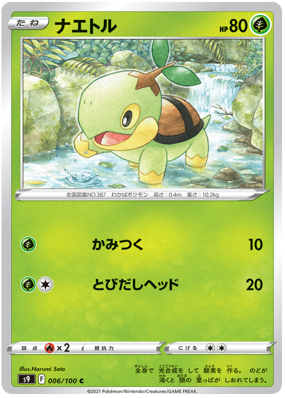 Turtwig - S9 Star Birth - 006 - Commune