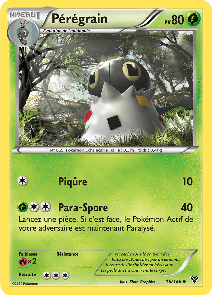 Pérégrain - XY - 016 - Peu commune