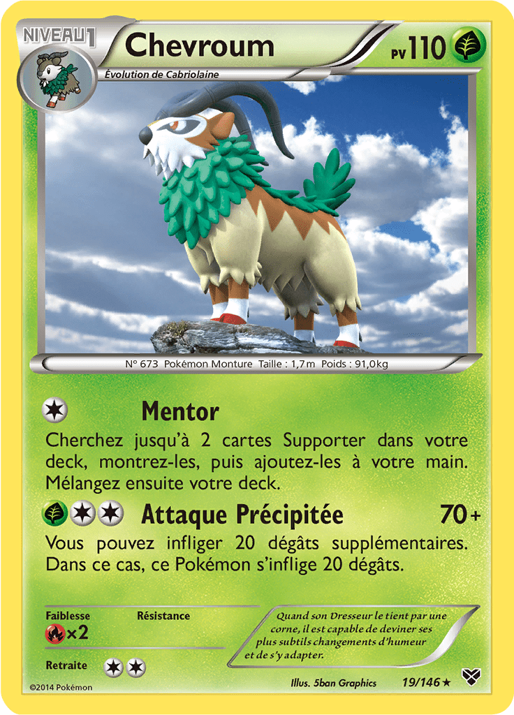 Chevroum - XY - 019 - Holographique