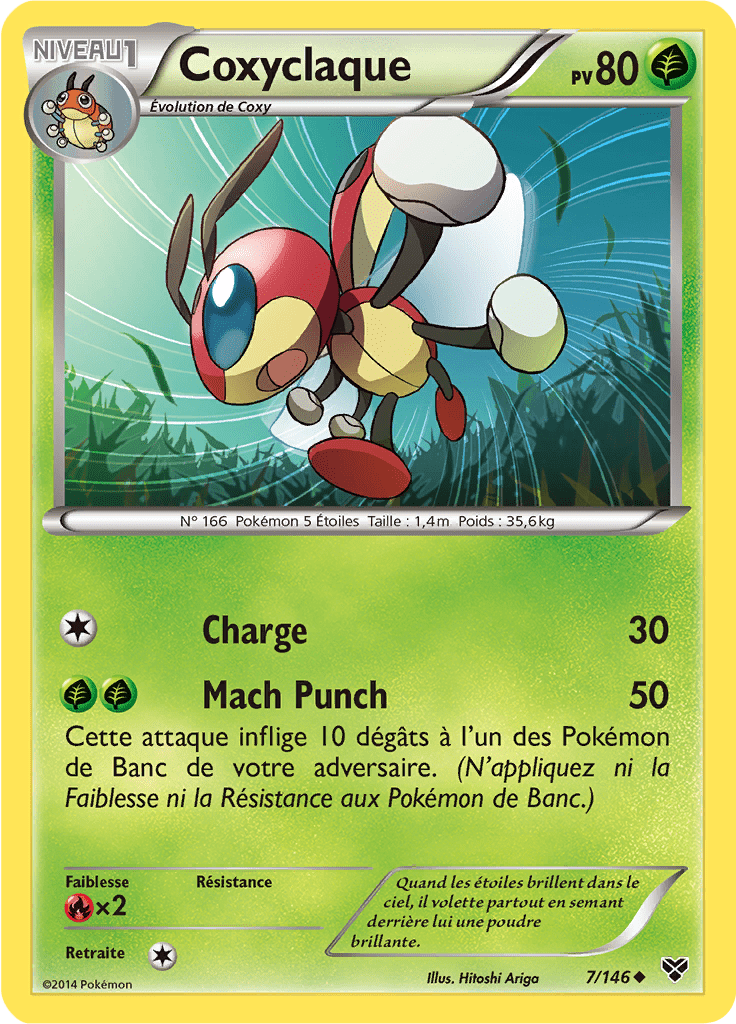 Coxyclaque - XY - 007 - Peu commune