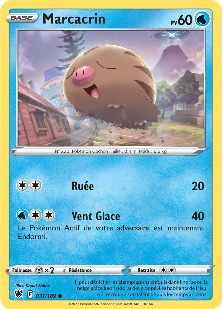 Marcacrin - EB Astres Radieux - 031/189 - Commune
