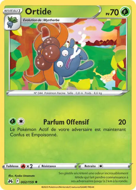 Ortide -  -  - Peu commune