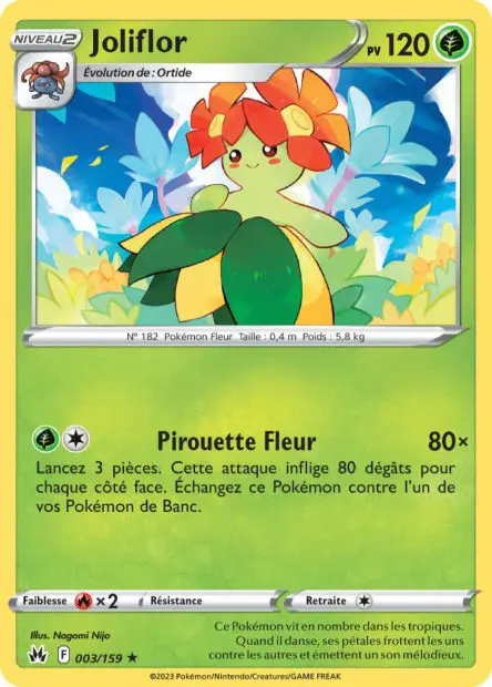 Joliflor -  -  - Rare