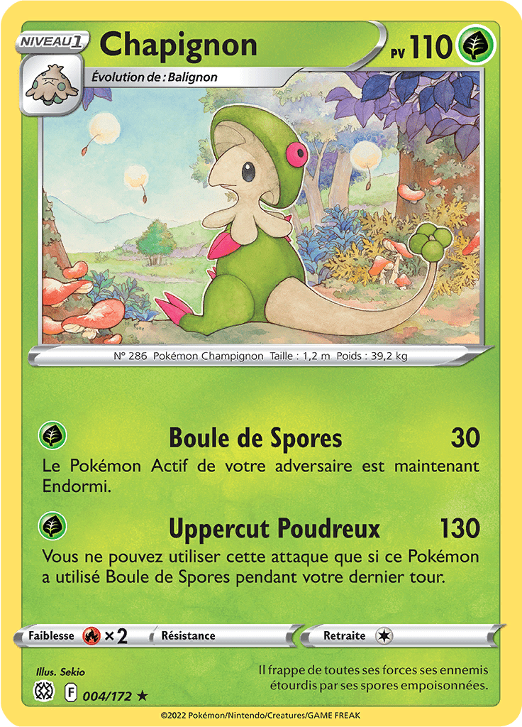 Chapignon -  -  - Rare