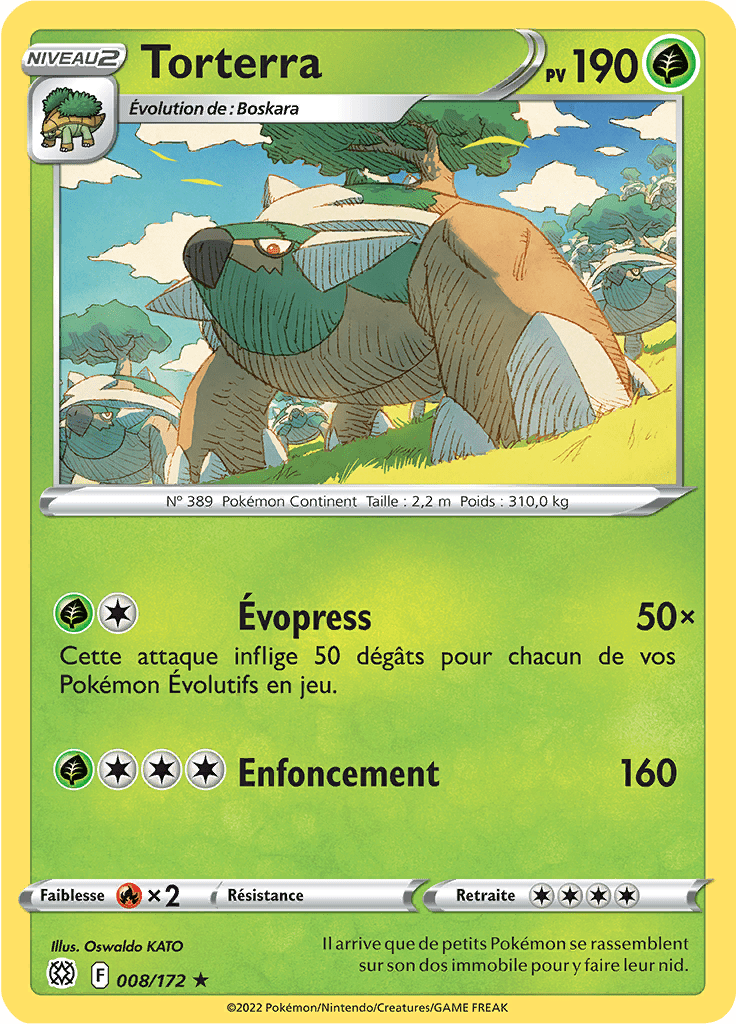 Torterra -  -  - Holographique rare
