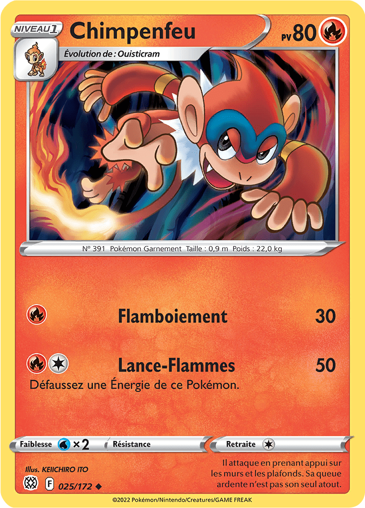 Chimpenfeu -  -  - Peu commune
