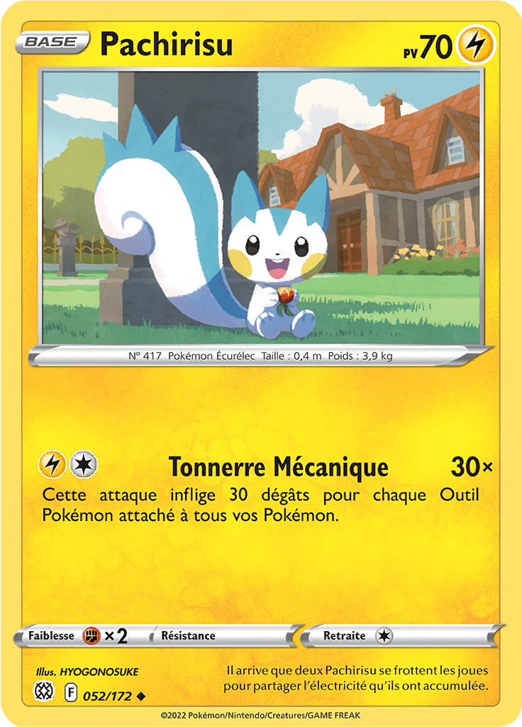 Pachirisu -  -  - Peu commune