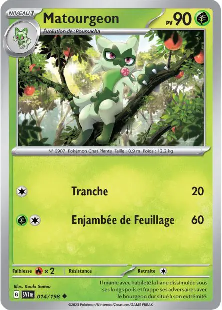 Matourgeon -  -  - Peu commune