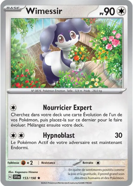 Wimessir -  -  - Holographique
