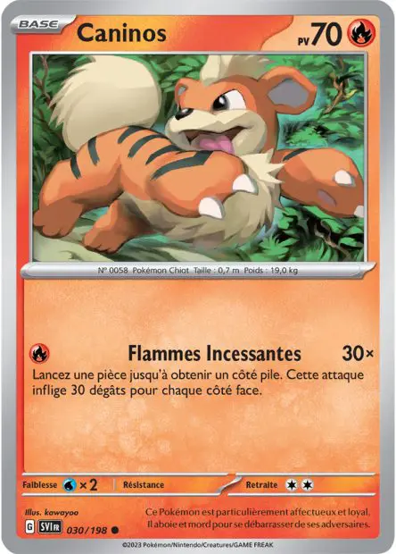 Caninos -  -  - Commune