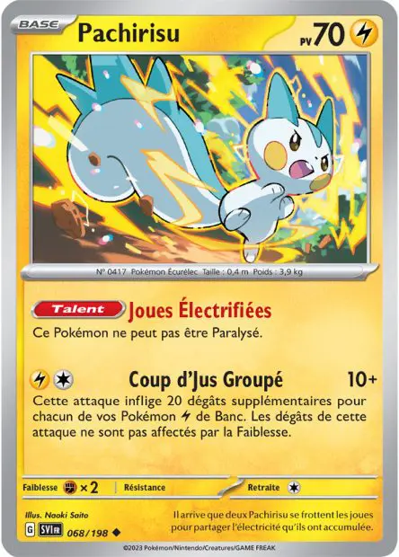 Pachirisu -  -  - Peu commune