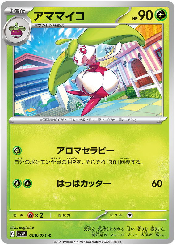 Steenee - SV2P Snow Hazard - 008 - Commune