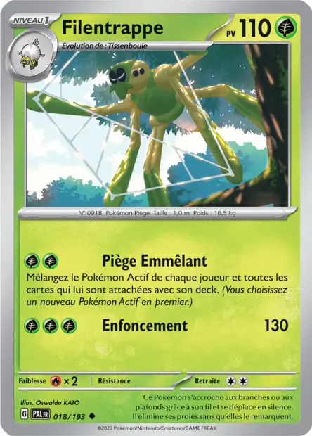 Filentrappe -  -  - Peu commune