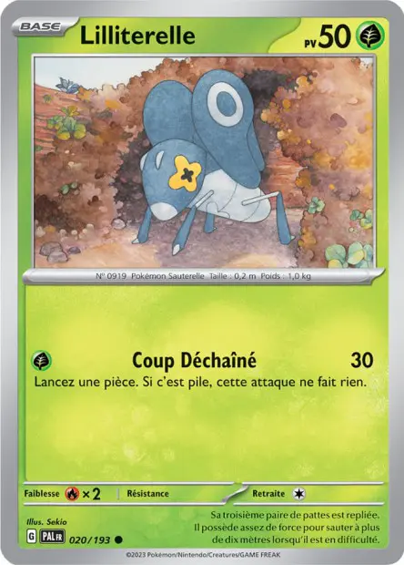Lilliterelle -  -  - Commune