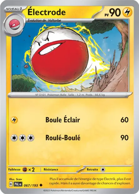 Électrode -  -  - Peu commune