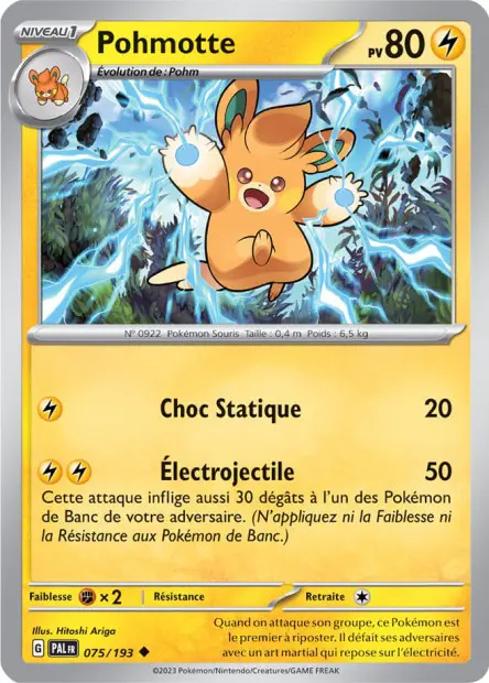 Pohmotte -  -  - Peu commune
