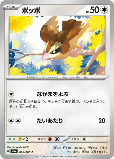 Pidgey -  -  - Commune