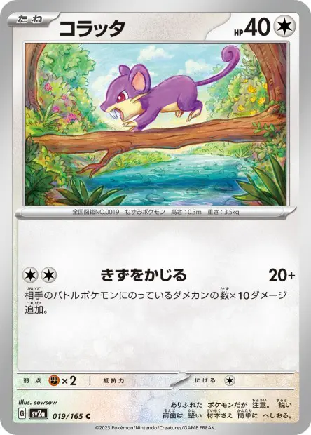 Rattata -  -  - Commune