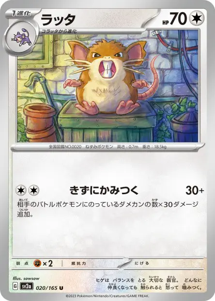 Raticate -  -  - Peu commune