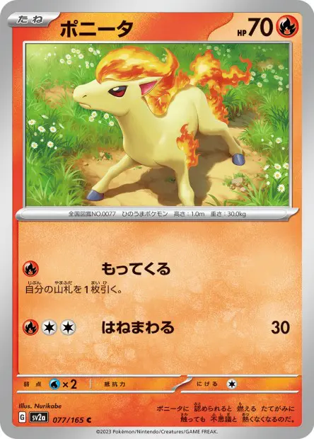 Ponyta -  -  - Commune